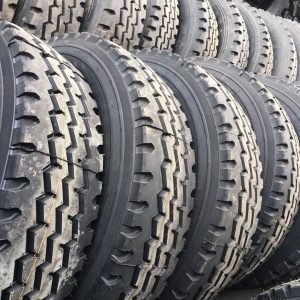 9515141008_885038756